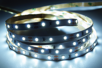 LC-2835-60LED-12W-CW