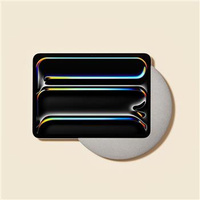 SUNSET IPAD PRO 11`` 2024 (TYTAN)