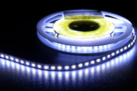 HQS-9.6W-120LED-CW-12V-5m