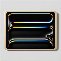 DAME WALL 2.0 IPAD PRO 13 (ZŁOTY)