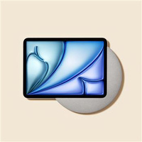 SUNSET IPAD 11.0 (TYTAN)