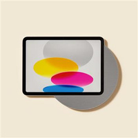 MOONLIGHT IPAD 10.9 (TYTAN)