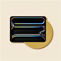 MOONLIGHT IPAD PRO 11`` 2024 (ZŁOTY)