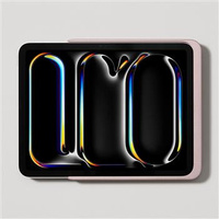 DAME WALL HOME 2.0 IPAD PRO 13 ROSE GOLD