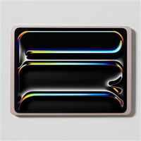 DAME WALL 2.0 IPAD PRO 13 (ROSE GOLD)