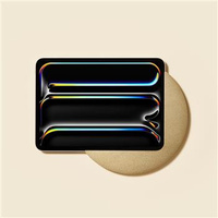 SUNSET IPAD PRO 11`` 2024 (ZŁOTY)