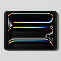 DAME WALL 2.0 IPAD PRO 13 (CZARNY)