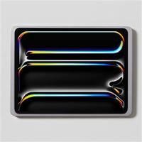 DAME WALL 2.0 IPAD PRO 13 (TYTAN)