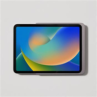 DAME WALL HOME 2.0 IPAD PRO 11 (TYTAN)